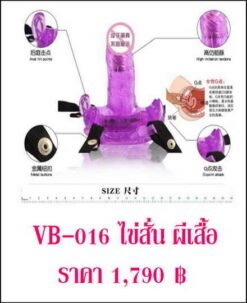 vibrator-VB-016