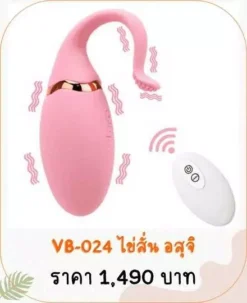 ไข่สั่น vibrator vb-024