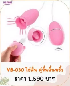 ไข่สั่น VB-030