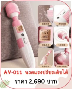 เครื่องนวดเอวี AV-011