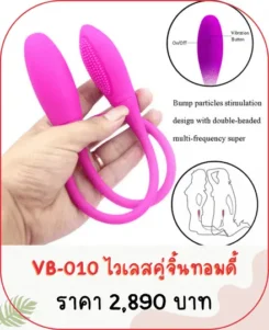 ไข่สั่น VB-010